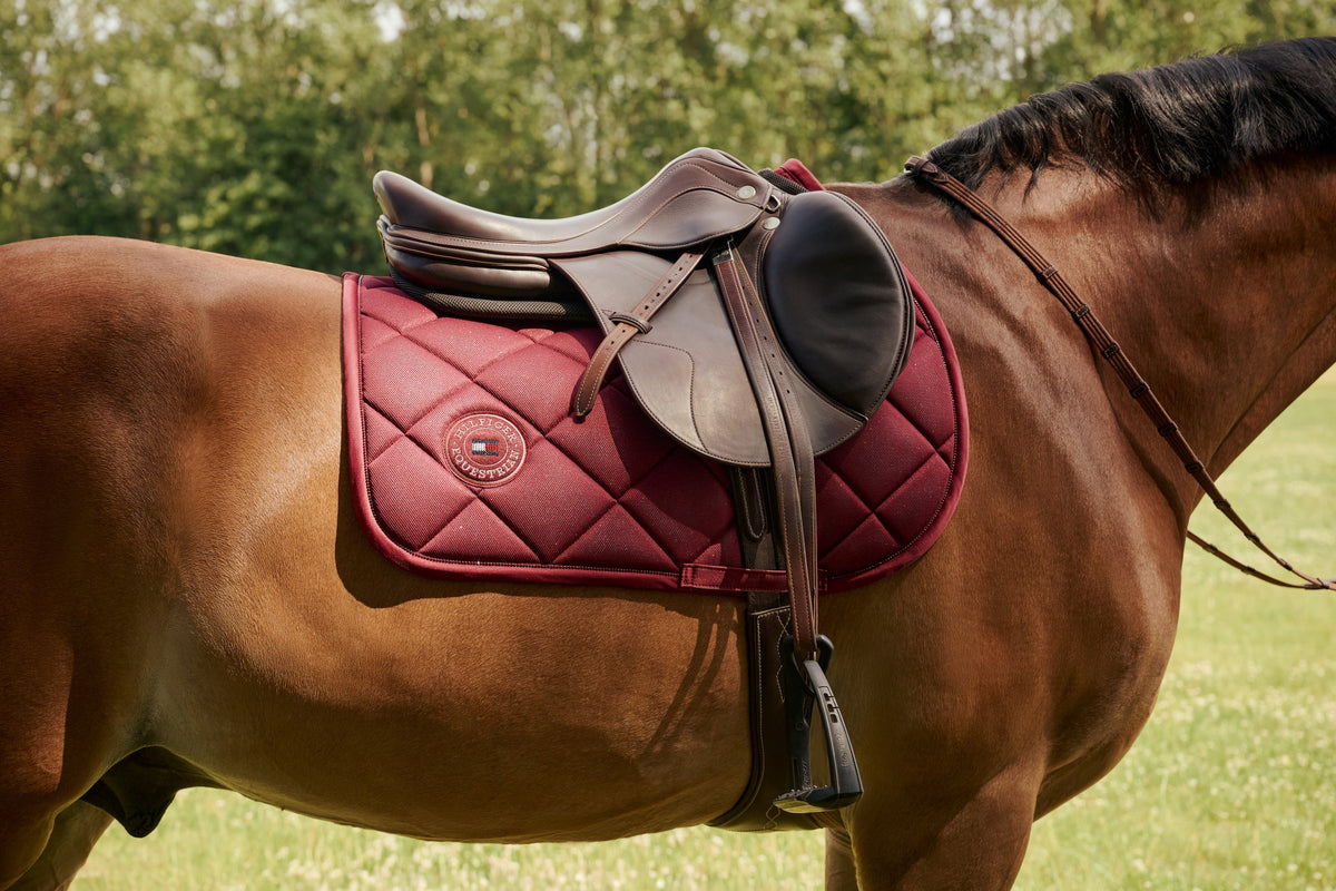 AUTUMN-WINTER 2026 HORSE