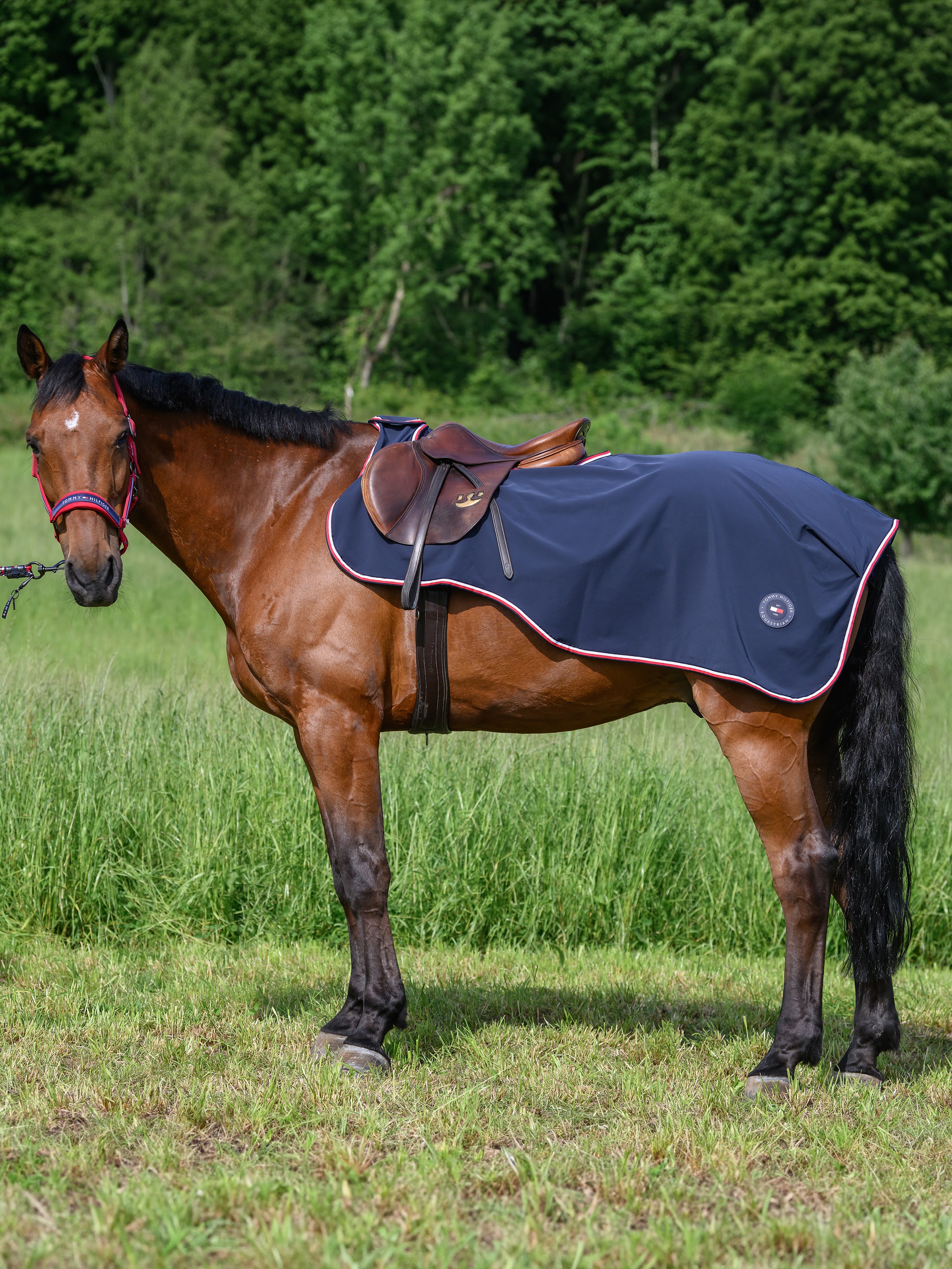 Springfield Water Repellent Riding Rug DESERT SKY
