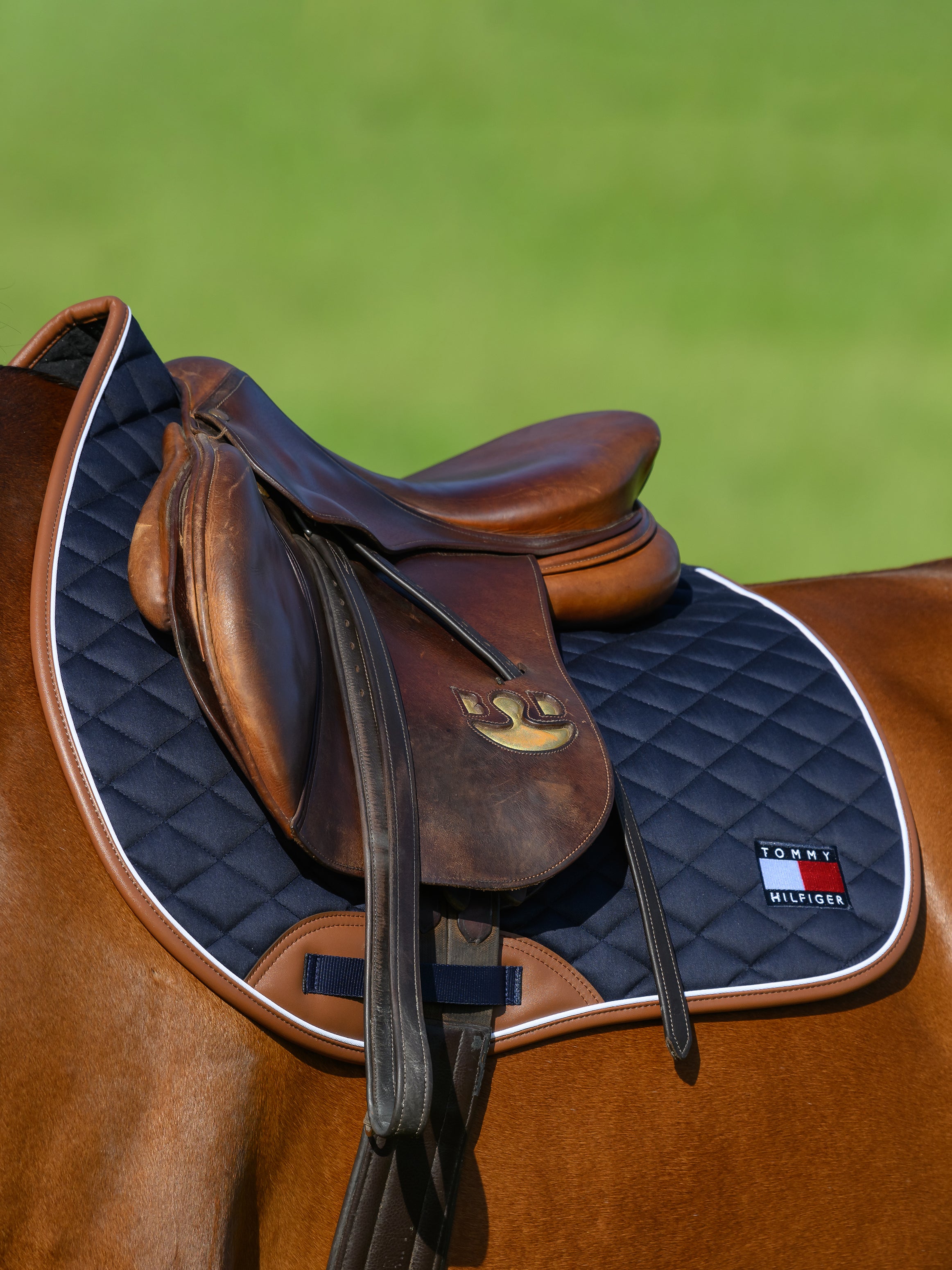 Princeton Jumping Saddlepad DESERT SKY
