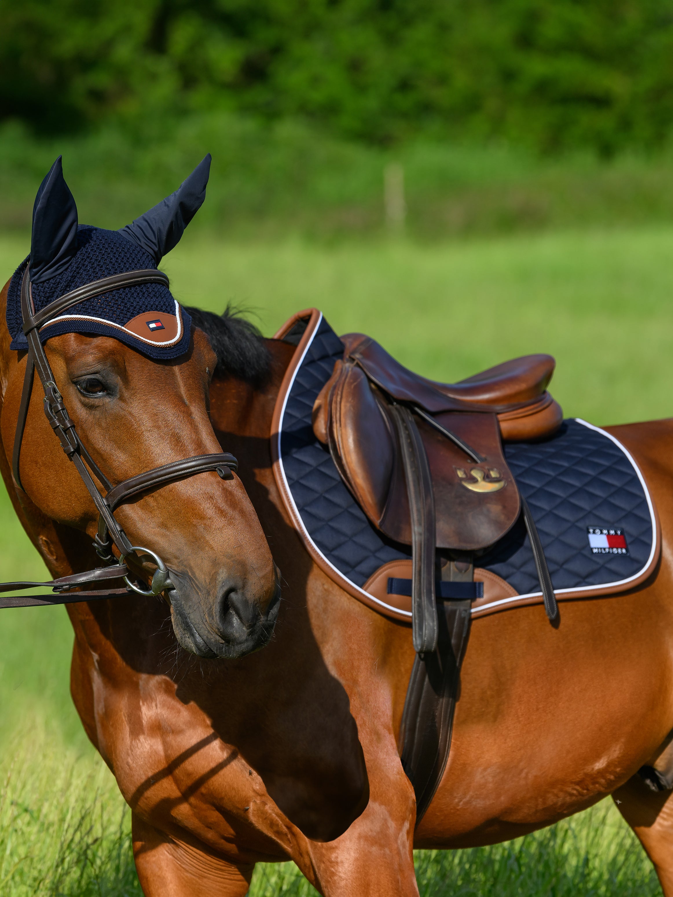 Princeton Jumping Saddlepad DESERT SKY
