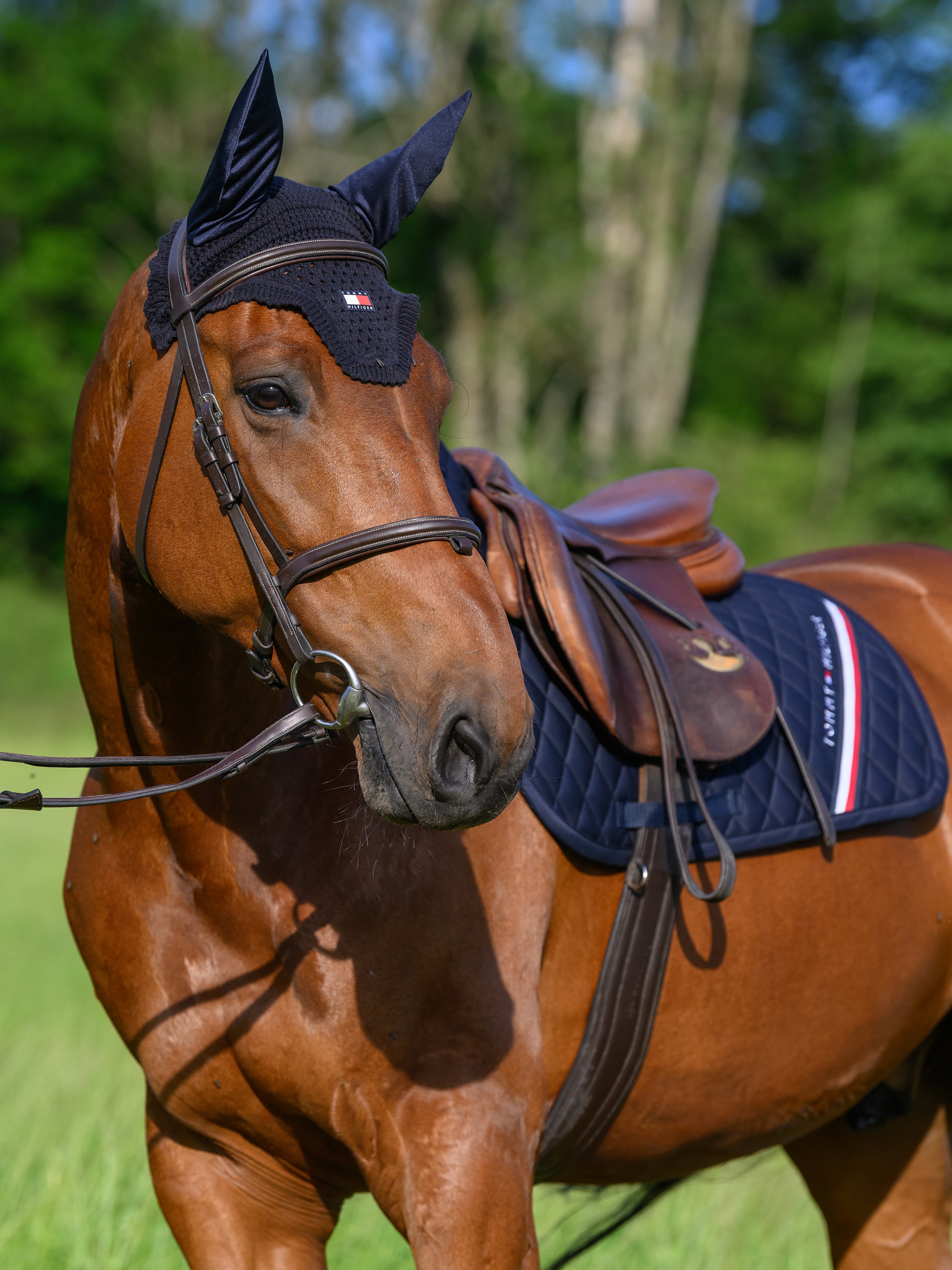 Stanford Jumping Saddlepad DESERT SKY