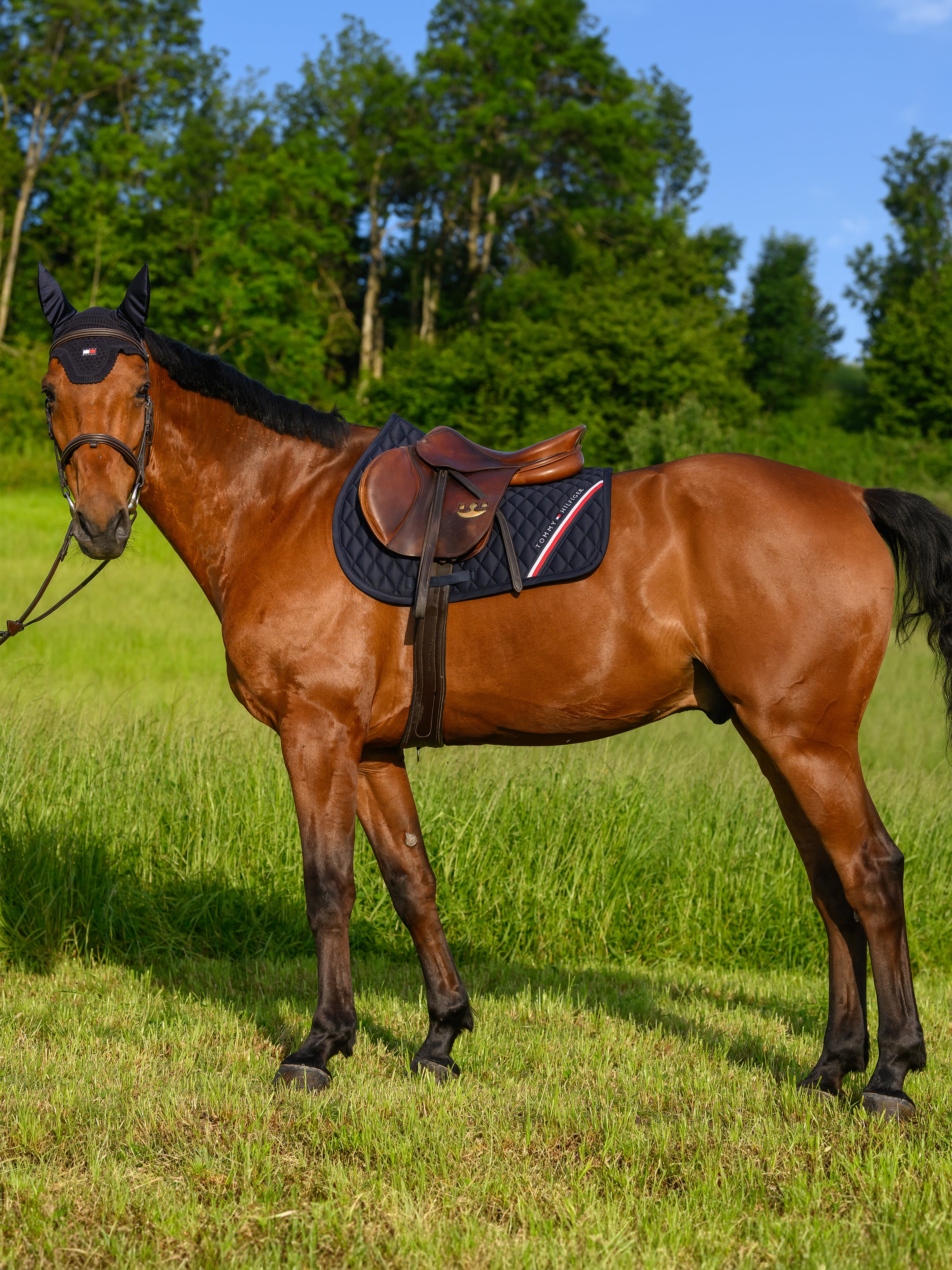 Stanford Jumping Saddlepad DESERT SKY