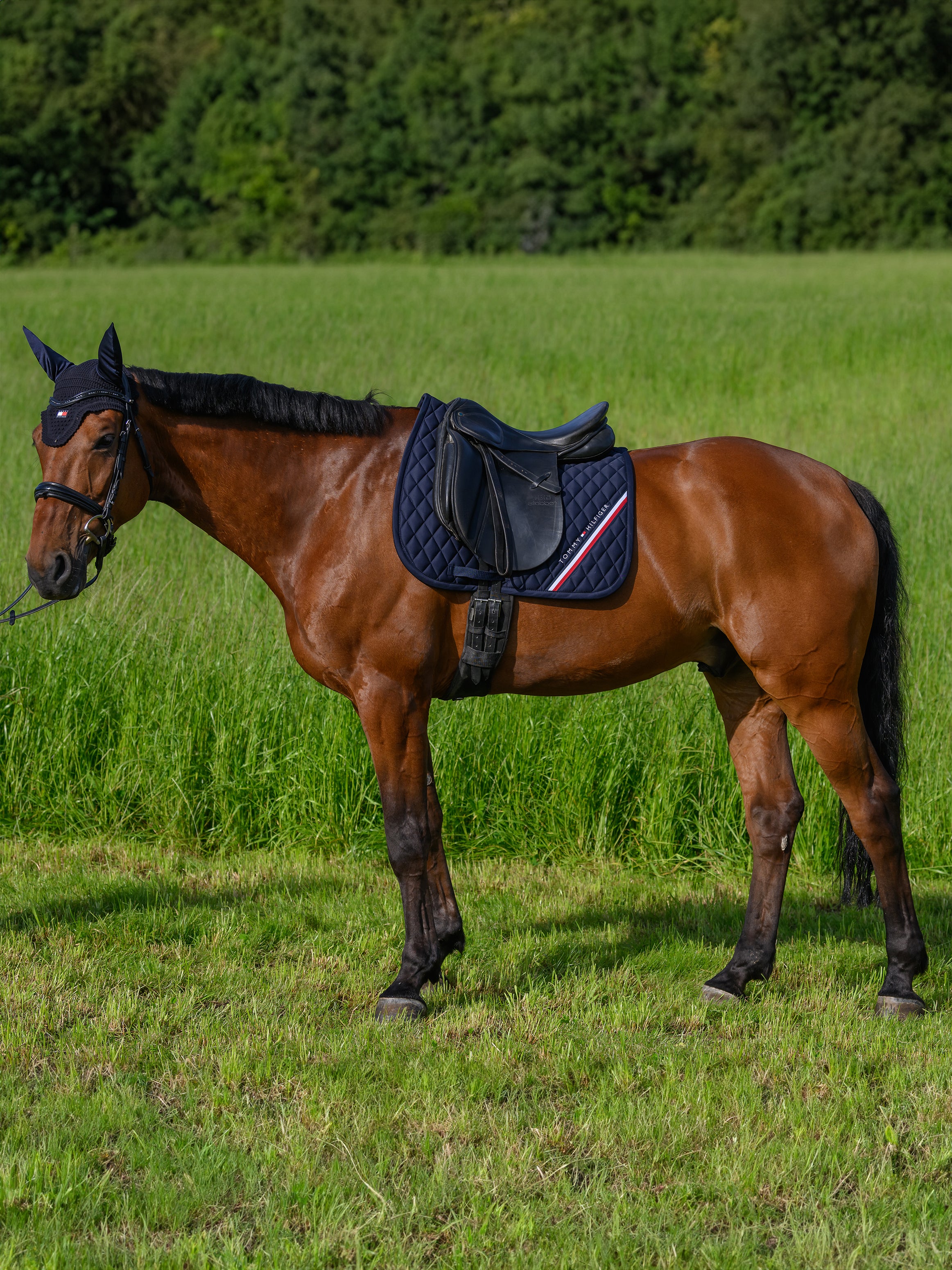 Stanford Dressage Saddlepad DESERT SKY