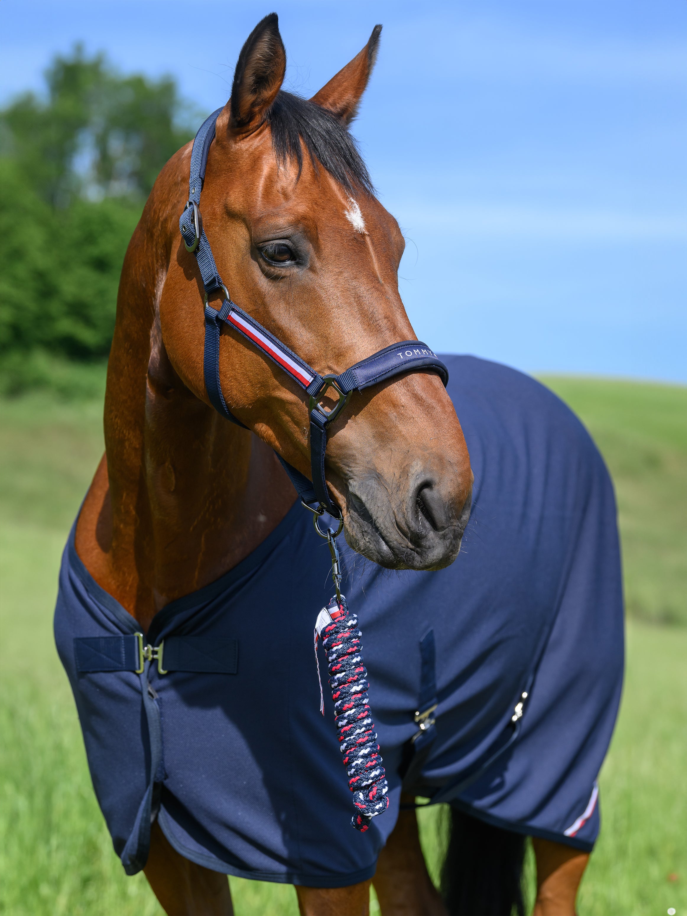 Yale Set Halter and Rope DESERT SKY