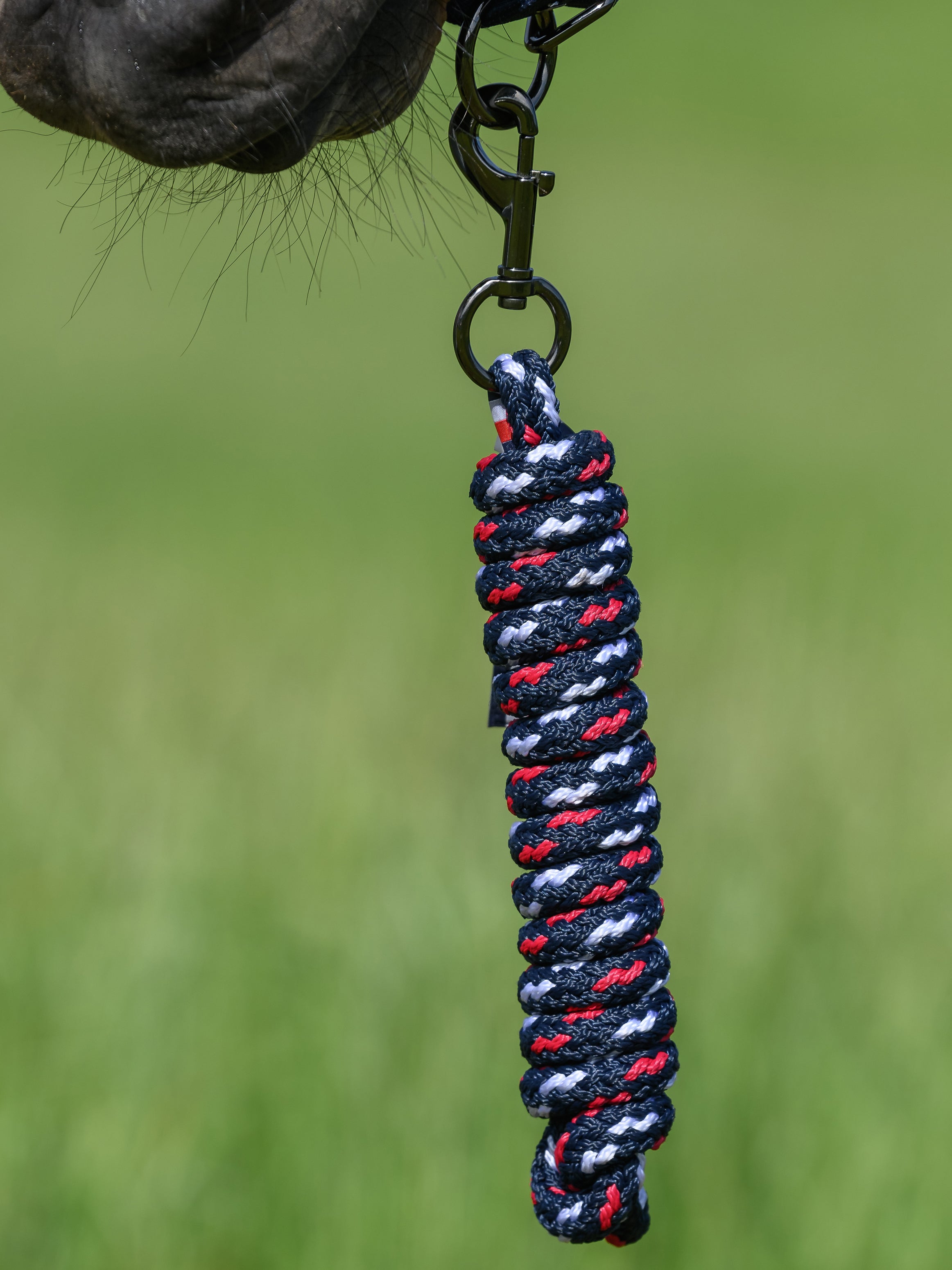 Yale Set Halter and Rope DESERT SKY