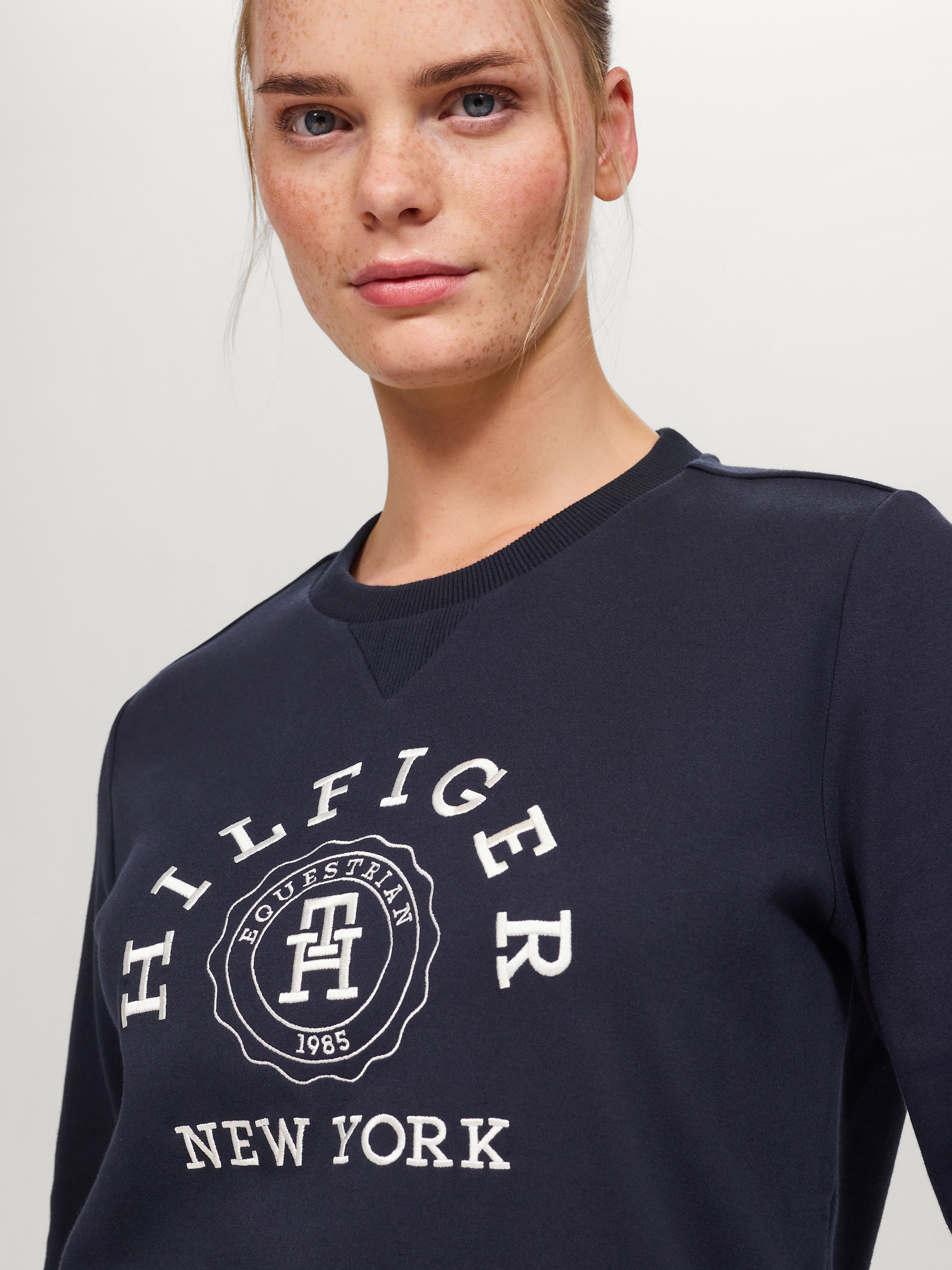 Evans Graphic Sweatshirt DESERT SKY