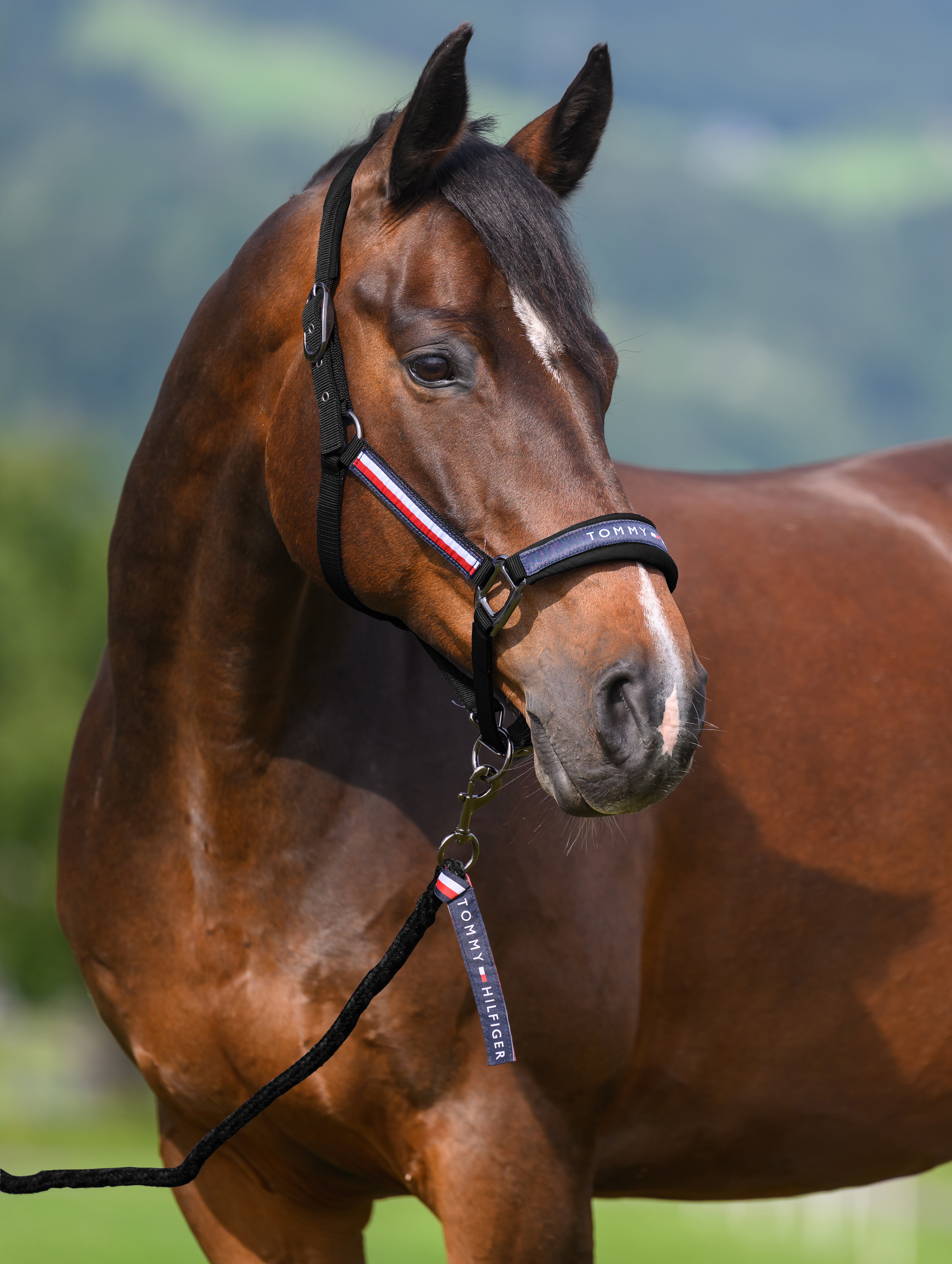 Yale Set Halter Rope BLACK