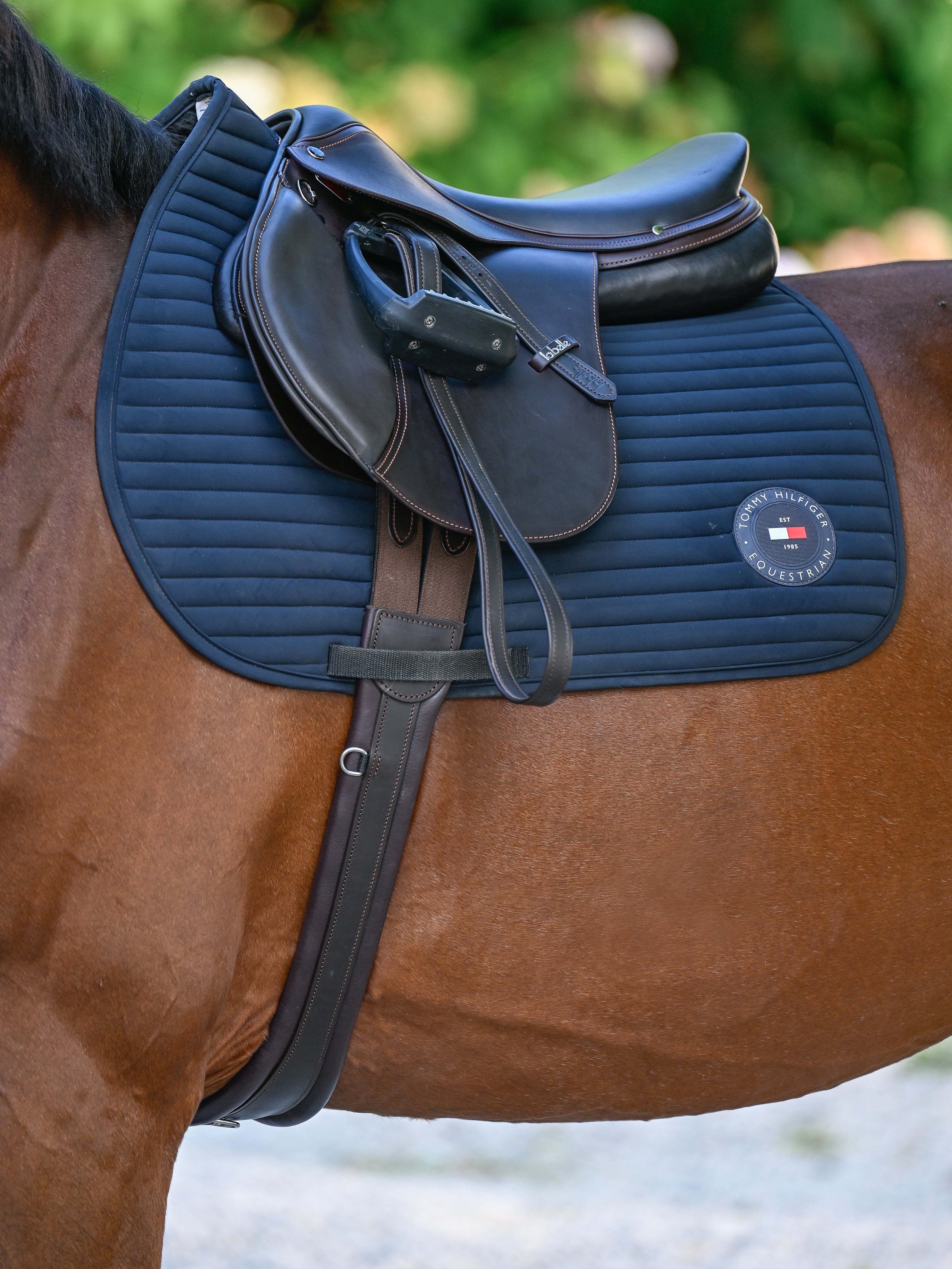 Upstate Jumping Saddle Pad DESERT SKY